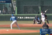 【ファーム試合結果】ヤクルト８－２日ハム　山野登板　松本直2安打2打点