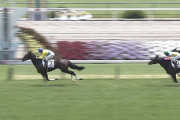 【競馬】エアグルーヴ産駒JRA４１勝（重賞１３）　ウオッカ１　ダイワ６