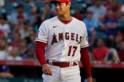 大谷翔平　7勝(チーム1位) 防御率2.93(チーム1位) 92回(チーム1位) 112奪三振(チーム1位) 38本塁打(1位) 84打点(チーム1位) 16盗塁(チーム1位)