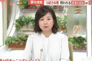 菊間弁護士「つばさの党への家宅捜査に反対」　→　炎上　[5/15]