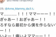 ツイッターまんさん「赤ちゃんとお別れしてきました（←中絶のやさしい言い方」ツイッター民「ママー！！?」