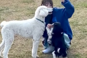 ワンちゃん＆びっくりきいちゃんが可愛すぎるｗｗｗ【乃木坂46】