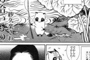 【子狸】なんだよこの漫画ｗｗｗ【注意】