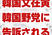 【速報】韓国文在寅、告訴される！　韓国野党が検察に訴える！　ついに始まったか…