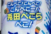 そもそも、こんぺこってなんだ...？