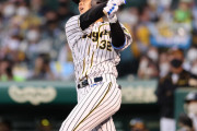 代打の阪神井上、ヤクルト寺島との履正社対決は左飛