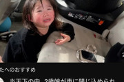 【炎上】2歳娘車内閉じ込め動画のYouTuber、1ヶ月で活動再開して非難轟々