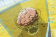 【画像】キャンドゥで売られてる『脳みそ』、怖いぐらいリアルだと話題騒然　→　お前らの想像の10倍以上気持ち悪いｗｗｗｗｗ