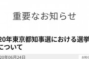 【悲報】都知事選のポスター、一発芸披露大会になる