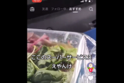 【悲報】TikTok民、スーパーのサラダに『カエル』が混入していたことを報告。本当ならニュースになる奴か…？
