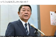 はい茂木消えた　～　【自民・茂木氏】「日本を韓国のような多様性のある多民族社会に変える事が必要！外国人に地方参政権を与える」と発言?