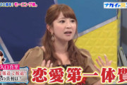 【画像】 矢口真里「モーニング娘にいた頃から恋愛第一体質だった。チンパンジーだった」