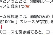 【ウマ娘】短距離には直線のみのレース「新潟芝1000m」が存在するってマジかよ
