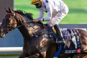 【競馬】香港最強マイラー・ゴールデンシックスティが熱中症のため来日を見送り