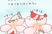 【画像】エビに桜の花を食べさせた結果、一晩で透明になってびっくり！