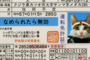「宅配便です。再配達には運転免許証の画像確認が必要です」……なわけねーだろ！