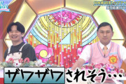【日向坂46】愛萌さん、オードリー若林さんへの無理すぎるお願いがこちらw