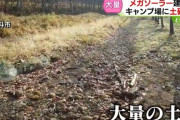 【北海道】メガソーラー建設工事により川が土砂で埋め尽くされる