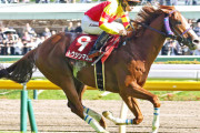 重賞5勝トウシンマカオ引退、アロースタッドで種牡馬入り