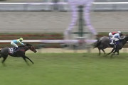 【高松宮記念】香港馬ビクターザウィナー3着に粘る