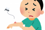 【朗報】蚊に刺されても速攻で腫れも痒みもなくなる方法が話題に！！