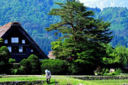 【1人旅】日本の原風景の写真