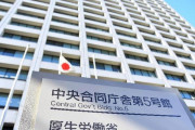厚労省が新型コロナ感染ピーク計算式示す　経路追えなくなってから3カ月後