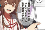 ラノベ『え、社内システム全てワンオペしている私を解雇ですか？』がTVアニメ化決定ｗｗｗ