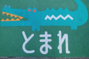 「世界中の日本オタクの夢を壊した」日本に移住しない方が良い１０の理由
