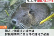 【特定外来生物】「ヌートリア」を無許可で捕獲し食べた男を逮捕