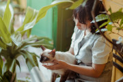 【悲報】ワイ、猫カフェに行くも恥をかかされ泣く