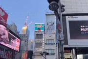 海外「日本人の発想は凄い！」新宿３D猫のテレポート移動に外国人が賞賛！