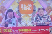 フジテレビ､27時間テレビでTemuのCM流して炎上