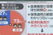 「不妊治療」保険適用で“負担増”――ナゼ？　患者 2000 人アンケート...73％が「悪くなった」 背景に助成金の廃止