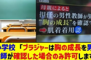 【速報】『川崎市の小学校では男性教師が胸の成長を確認してブラジャーを許可する』説に市長が激怒「そんなわけねえだろ」