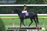 【競馬】ダンビュライトさん、早くも荒れる