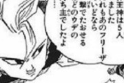界王神「フリーザなら一撃で余裕でした」