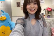 【日向坂46】愛萌さん、運営NGかもしれない話をしてしまうw