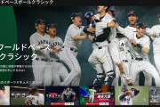 WBCで迷ってるやつにネトフリのUIがどれだけ終わってるか教えてやる