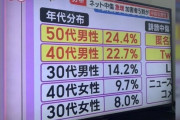 【悲報】ネットで誹謗中傷してる奴、5割が中年弱男だった・・・・・・・