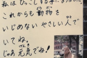イッヌ「引っ越します。ほな、また…」