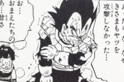 【ドラゴンボール】ベジータと悟飯の関係ｗｗｗｗｗｗｗｗｗｗｗｗｗｗ