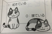 【悲報】日本人さん、物理のテキストにも関わらず「シュレディンガーの猫」理論を捻じ曲げてしまう…