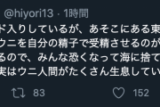 【悲報】海洋試験場の学生、ウニを自分の精子で受精させ海に捨てている模様