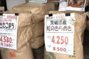 【お米専門店】「売れなくて残っちゃう…」2000円台の“小泉米”に“ため息”　江藤前大臣放出分の備蓄米の行方は？　輸送費も自費負担