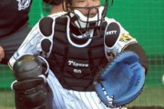 梅野が出てくる前の阪神の正捕手覚えてるやつｗｗｗｗ