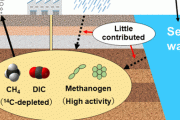 【南関東】地下深部で古細菌が今もメタンガスを生成 新鮮過ぎる生命痕跡反応 複数遺伝子 海陸と隔絶 海洋研究開発機構と信州大学