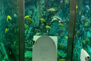【画像】水族館トイレがやばすぎると話題にｗｗｗｗｗｗｗｗ