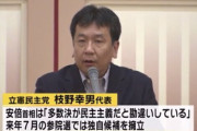 立憲・杉尾ひでや議員「国会と民主主義が破壊される。それでも高市総理と自維連立政権を皆さんは支持されますか？」  [3/4]