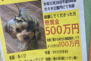 【画像】迷子になったイッヌ、とんでもない懸賞金がかけられる